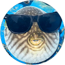 Iman Shah profile picture